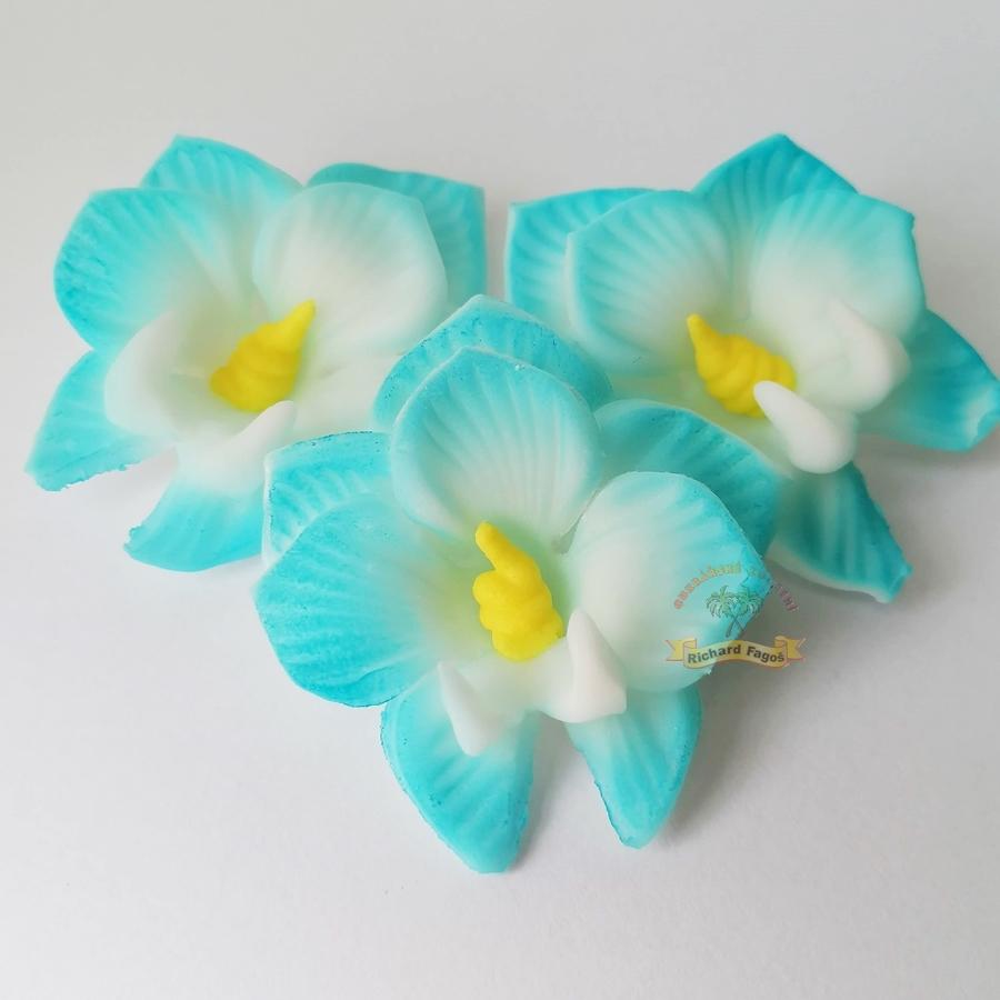 Orchidej s modrým okrajem 10g