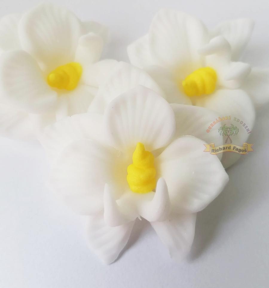 Orchidej bílá 10g