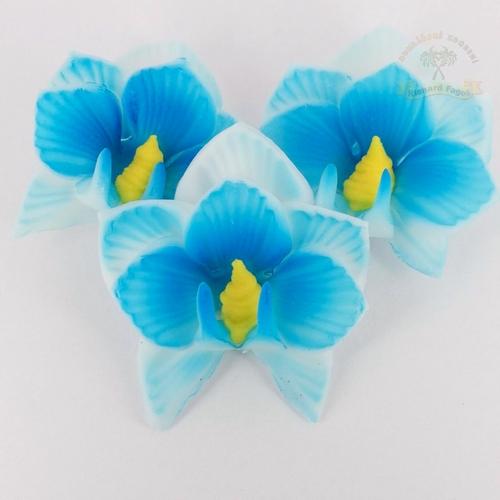 Orchidej modrý střed 10g