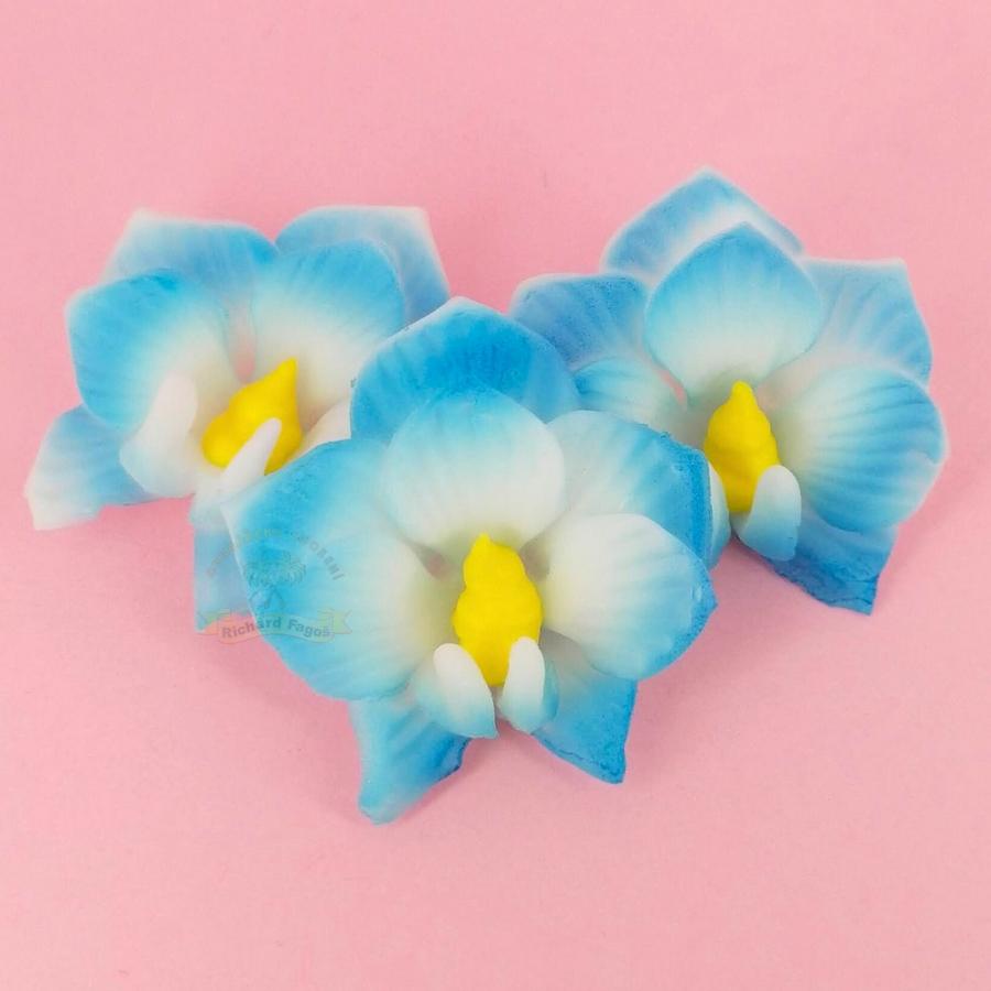 Orchidej malá modrá 5g