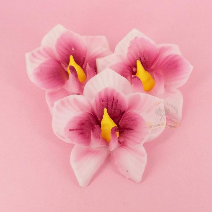 Orchidej malá růžová 5g